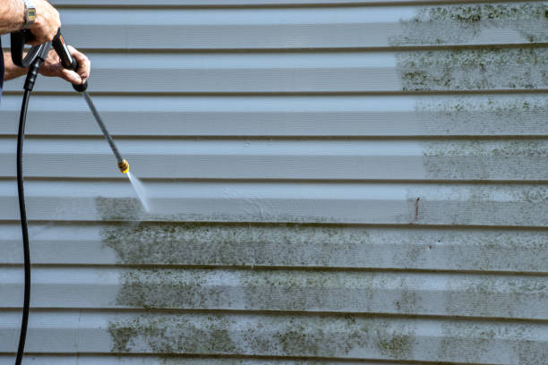 Affordable Siding Repair and Maintenance Services in Turley, OK